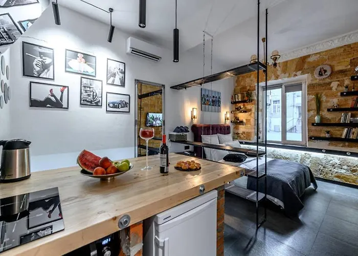 Apartman три квартала от оперного-тихий лофт-новый апарт Odessza